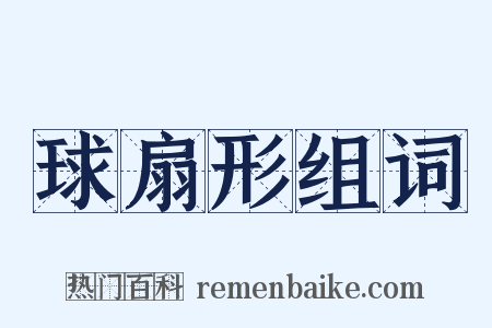 球扇形组词是什么意思的图片